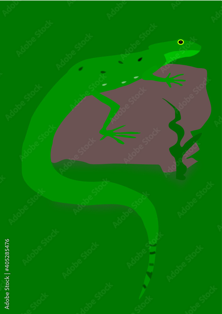 Obraz premium basilisk on a stone