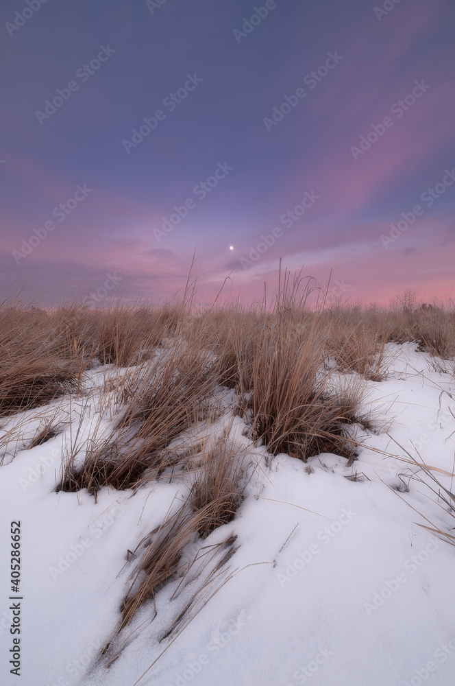 Pink sky over snowy plains