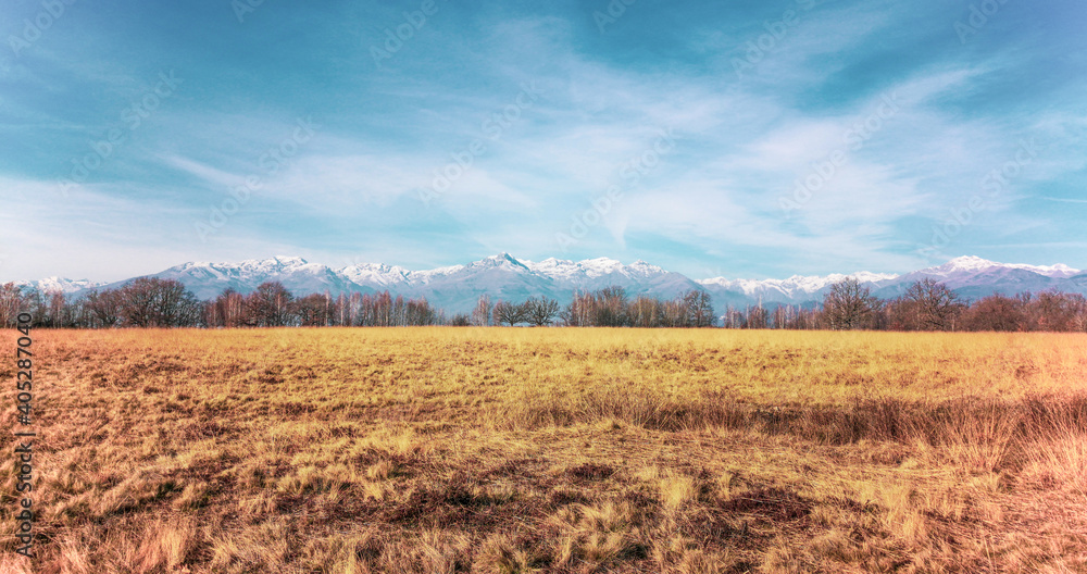 Obraz premium Landscape of the Italian Savannah of Baraggia, view of alps in the background. Baraggia Natural Reserve, Candelo Biella Italy