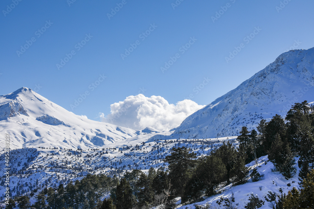 Scenery of snow mountains with pine trees. Winter landscape with blue sky in Antalya Turkey
