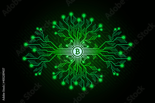 Bitcoin Mining Concept, Printed Circuit Board Branches