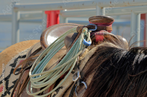 Closeup of western saddle and roping gear on a ranch horse.