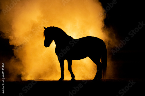Horse silhouette on orange smokey back ground