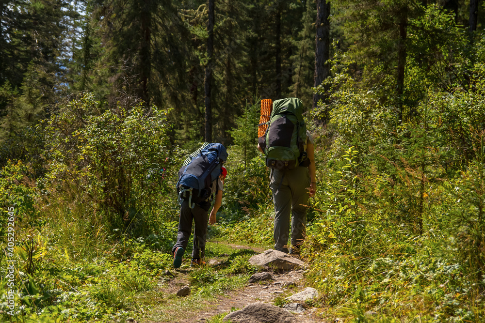 Tourists with large backpacks walk through the woods in the mountains. Tourists with large backpacks walk through the woods in the mountains.