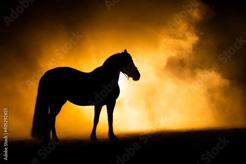 horse, silhouette, standing, orange, smoke, sunset, orange, pony, sky, sun, nature, black, sunrise, wild, orange, portrait, landscape, sunlight, desert, illustration, freedom, mammal, equine