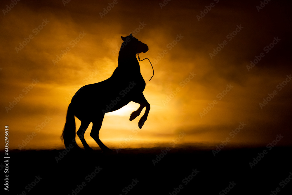 Horse silhouette on orange smokey back ground Horse silhouette on orange smokey back ground
