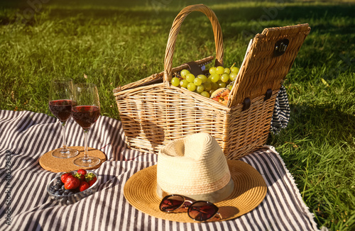 Red wine and different products for summer picnic served on blanket outdoors