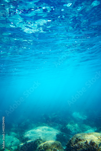 Fototapeta Naklejka Na Ścianę i Meble -  Underwater photo near the coast of flora and fauna on rocky seabed