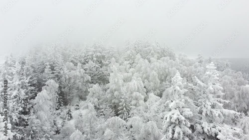 View of the snowy forest. Shot shot with a drone. Aerial view of a snowstorm in the mountains. View of the snowy forest. Shot shot with a drone. Aerial view of a snowstorm in the mountains.