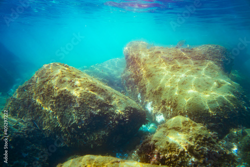 Fototapeta Naklejka Na Ścianę i Meble -  Underwater photo near the coast of flora and fauna on rocky seabed