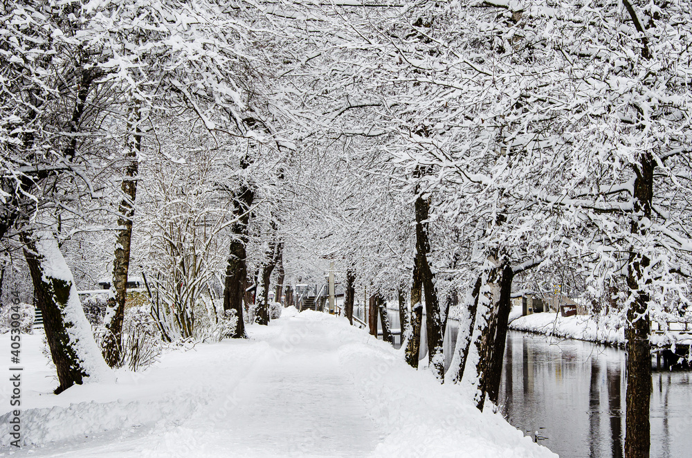 Fototapeta premium Winterlandschaft