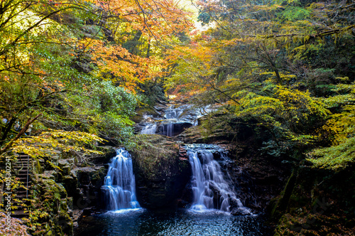 river with trees changing color during autumn in japan