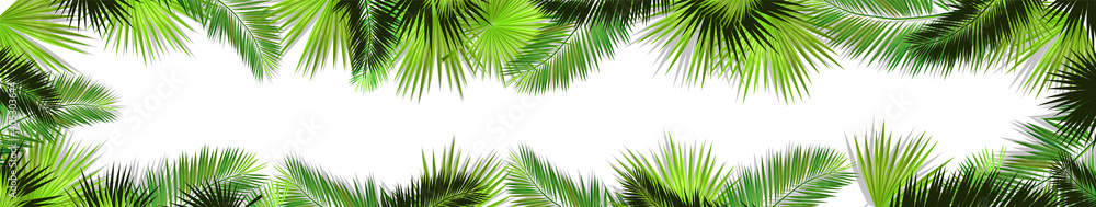Fototapeta premium A Long horizontal frame of palm leaves. Hello summer. Vector illustration