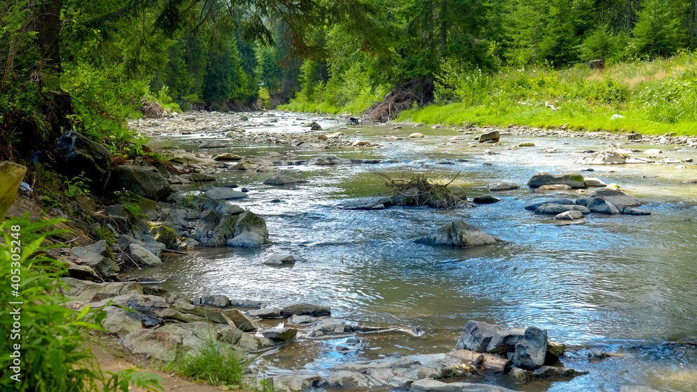 Beautiful view on the calm water stream or river flowing through mountain pine forest at summer Beautiful view on the calm water stream or river flowing through mountain pine forest at summer