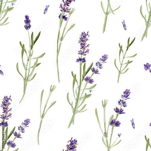 Lavender flowers seamless pattern isolated on white background. Watercolor hand drawing  botanical illustration. For card  wallpaper  packaging  invitation