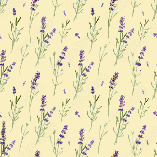 Lavender flowers seamless pattern isolated on white background. Watercolor hand drawing botanical illustration. For card, wallpaper, packaging, invitation