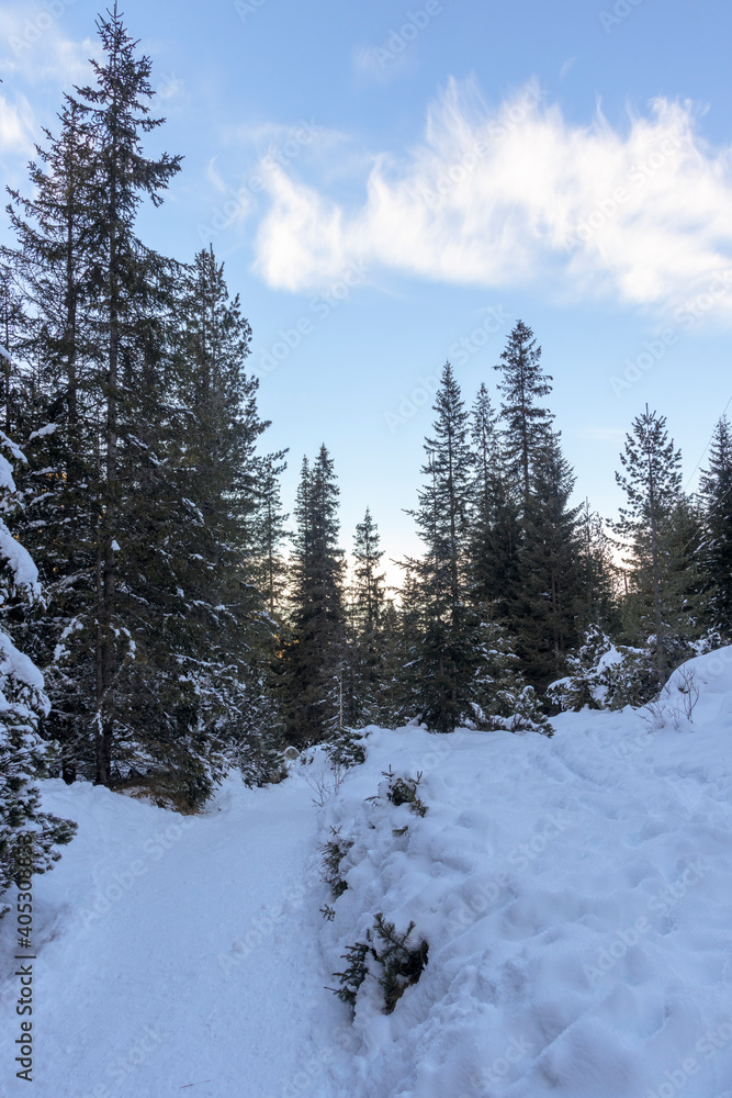 Winter view from hiking Trail to Malyovitsa peak, Rila Mountain