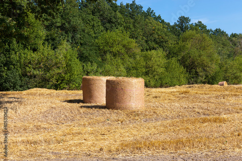 stacks of their wheat straw photo