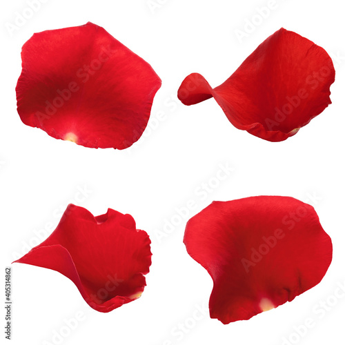 Set of red rose petals isolated on white background. Close-up, macro shot. Can be used for design of valentines and wedding cards. High quality photo