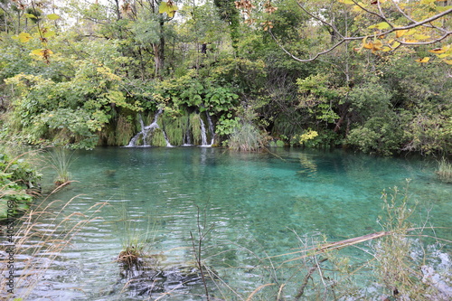 Fototapeta Naklejka Na Ścianę i Meble -  Waterfall and lake with clear, clear turquoise water through which the bottom can be seen, trees with yellow-green foliage Plitvice Lakes National Park