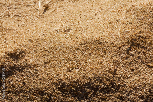 Sawdust. Wooden sawdust close-up. Macro photo - background with yellow sawdust