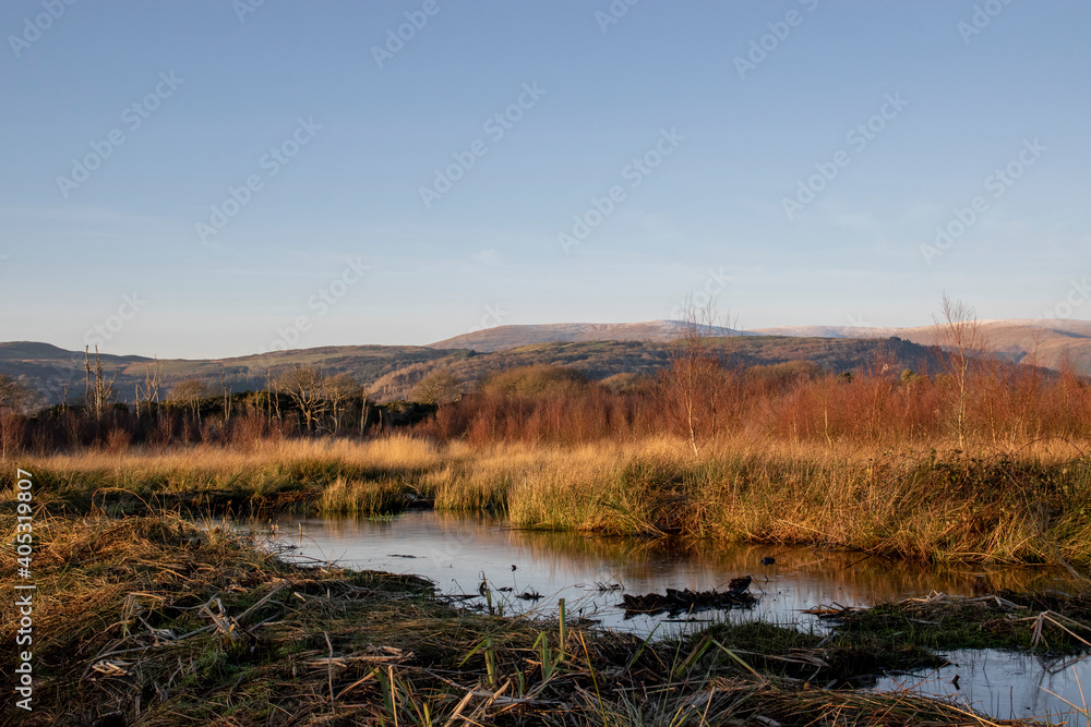 a view of the wetland at Ynys-hir Ceredigion with the grassland behind it and the mountains in the background