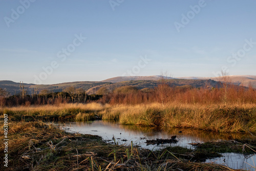 a view of the wetland at Ynys-hir Ceredigion with the grassland behind it and the mountains in the background