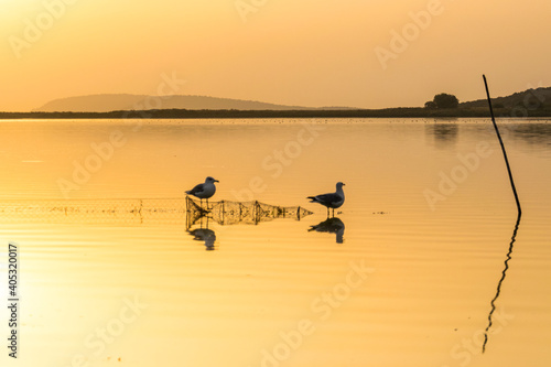 fishing at sunset © ahmetcandan