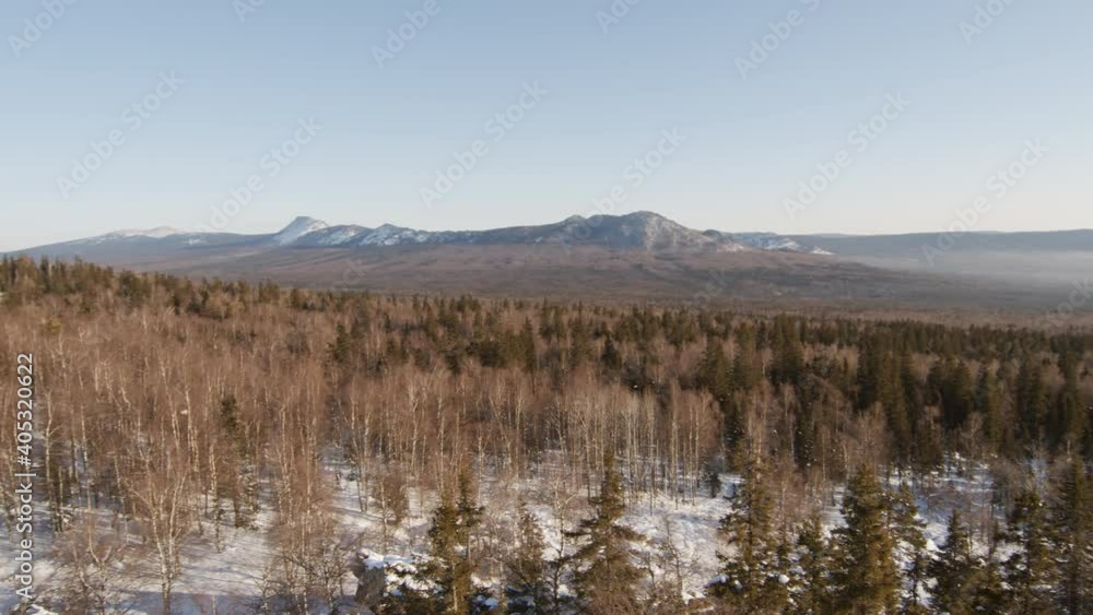 No people panning overview of snowy mountains with trees and clear blue sky in winter No people panning overview of snowy mountains with trees and clear blue sky in winter