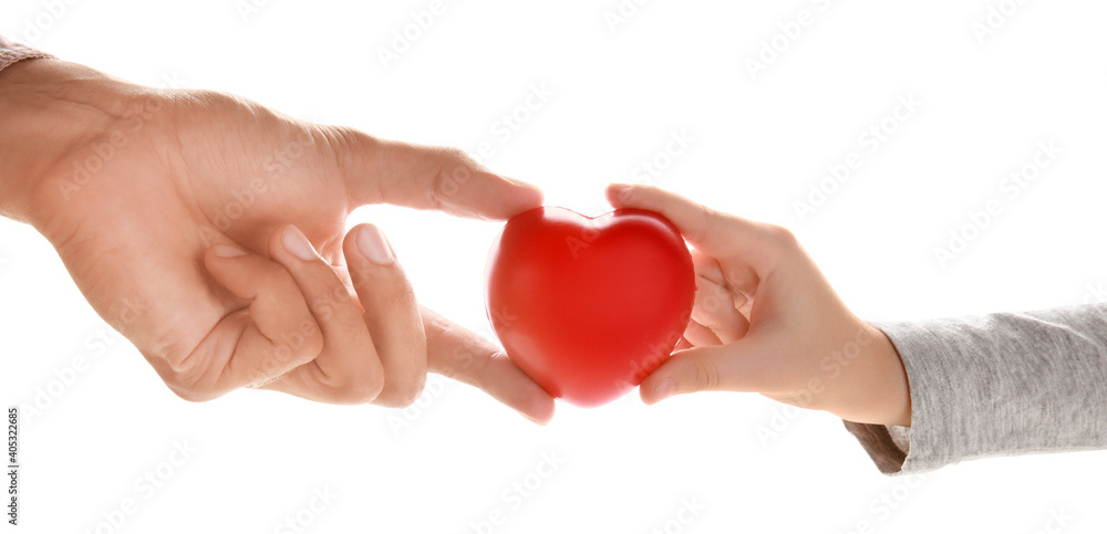 Hands of family with heart isolated on white background Hands of family with heart isolated on white background