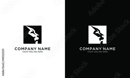 Lion icon modern logo in a box vector design template on a black and white background.