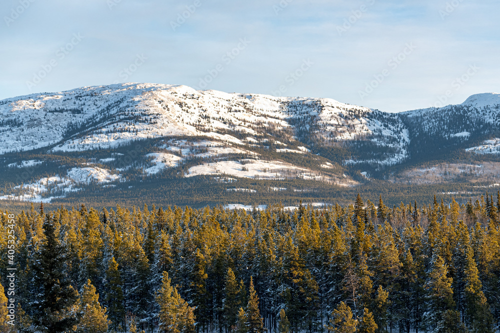 Stunning winter landscape in northern Canada during snowy, freezing cold season. Stunning winter landscape in northern Canada during snowy, freezing cold season. Snow covered mountains above a boreal 