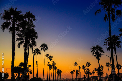 Palm trees silhouette at sunset, Newport Beach, California photo