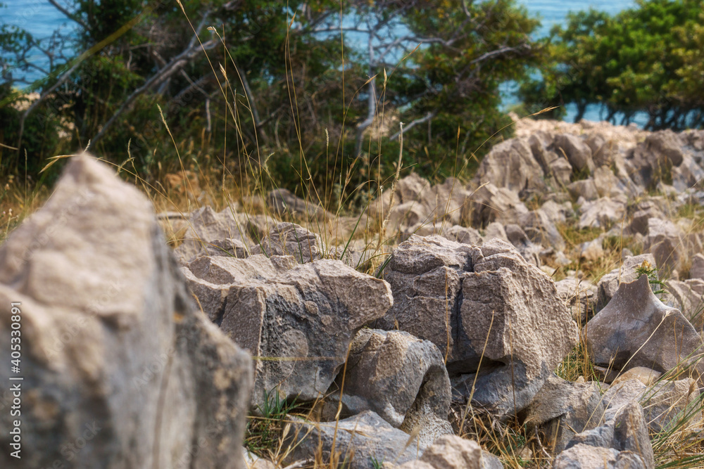detail of stone and grass in croatian landscape detail of stone and grass in croatian landscape