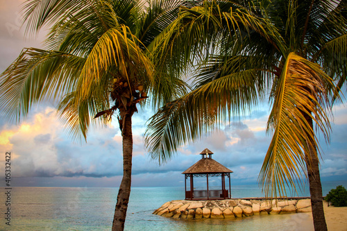 beach hut and palm trees © Allison