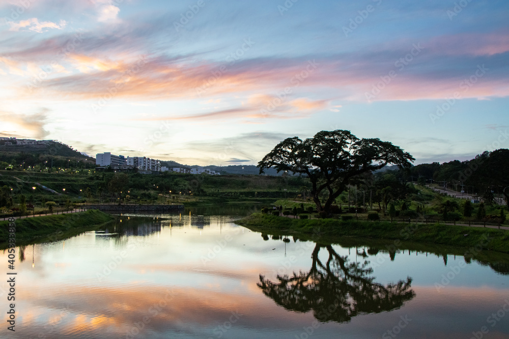 Single acacia tree and pond in lush park with beautiful dramatic sky above after sunset - Pampanga, Luzon, Philippines