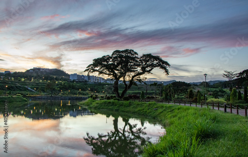 Single acacia tree and pond in lush park with beautiful dramatic sky above after sunset - Pampanga  Luzon  Philippines