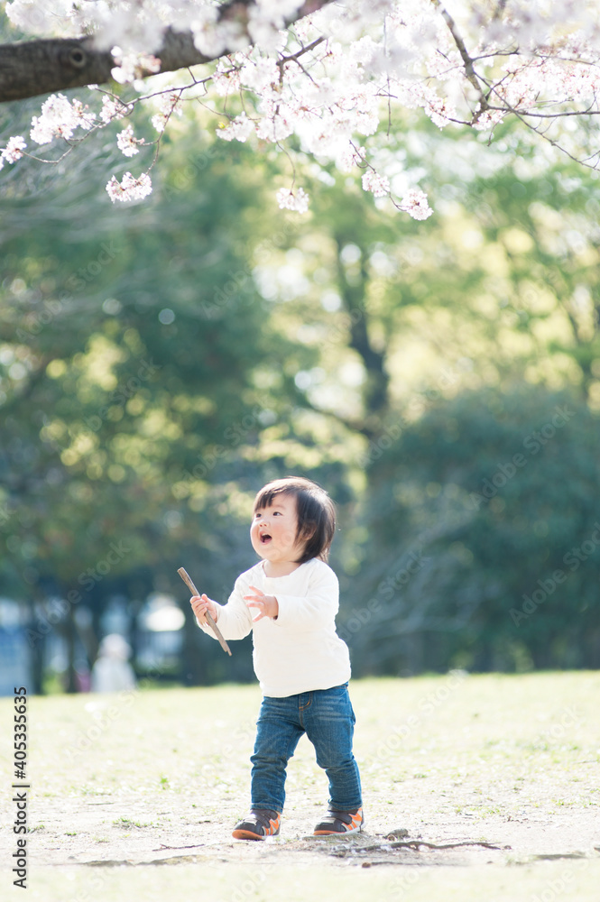 桜の樹の下で枝を持つ男の子