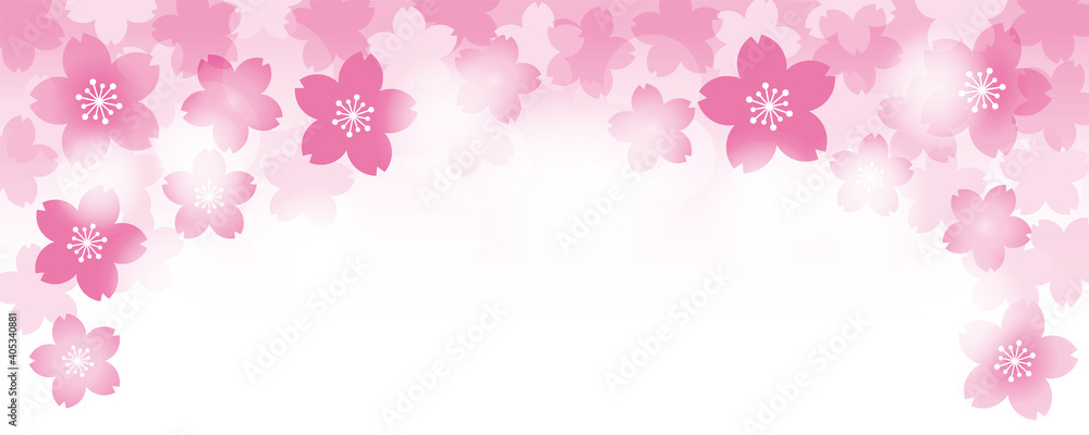 輝く鮮やかな桜の花の背景イラスト素材