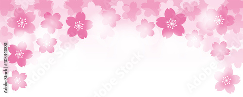 輝く鮮やかな桜の花の背景イラスト素材