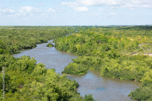 Paisaje de bosque nativo y silvestre con vista de río. 