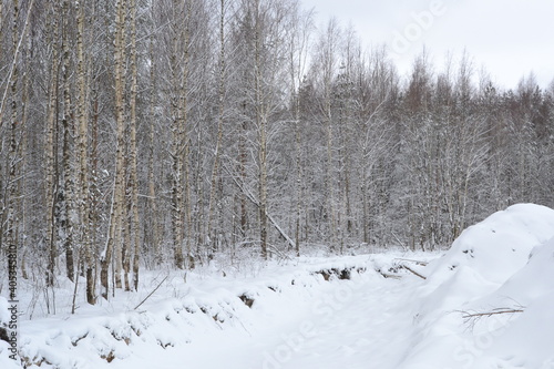 A drainage ditch at the edge of a forest among bare trees covered with snow on a cold winter day.