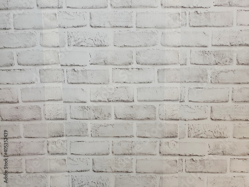 Picture of a brick wall painted in white. The background of the wall is white. 