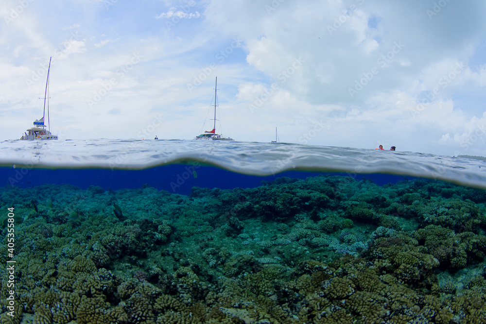 Naklejka premium lagon de l'atoll de Tetiroa en polynesie francaise