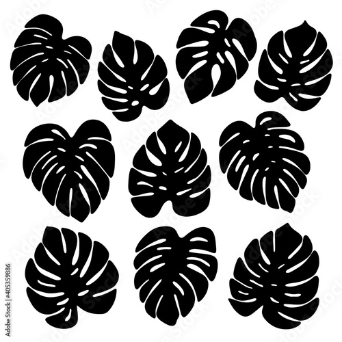 Monstera deliciosa leaves hand drawn vector set. Black leaf clipart. Tropical plant illustration isolated on white background. Scandinavian minimalism poster. Modern print.