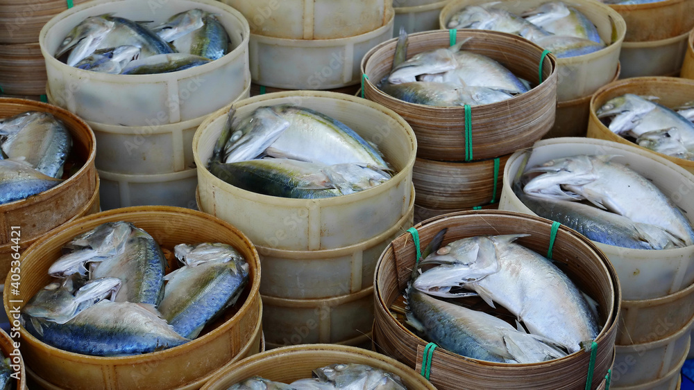 group of mackerel fish in circle shape basket on chelf for service customer in fresh market