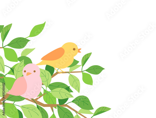 葉25　新緑　緑　枝　鳥　小鳥