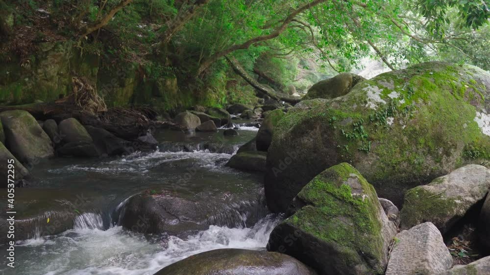 日本の美しい渓流のある風景 日本の美しい渓流のある風景