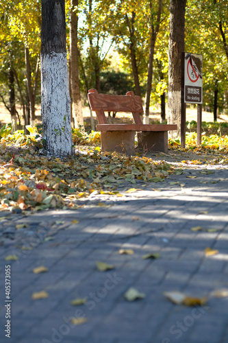 The woods are full of leaves and stools