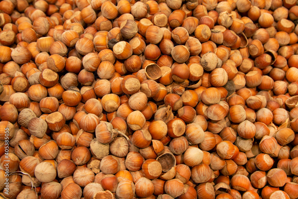 Forest nut background. Full and half of hazelnuts on white background top view. Isolated Forest nut background. Full and half of hazelnuts on white background top view. Isolated